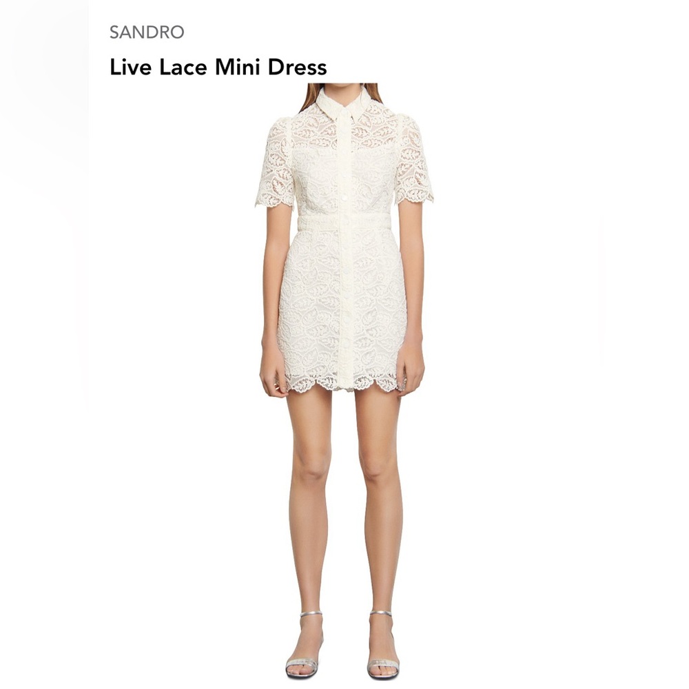 Sandro Live Embroidered-Floral Lace Mini Dress